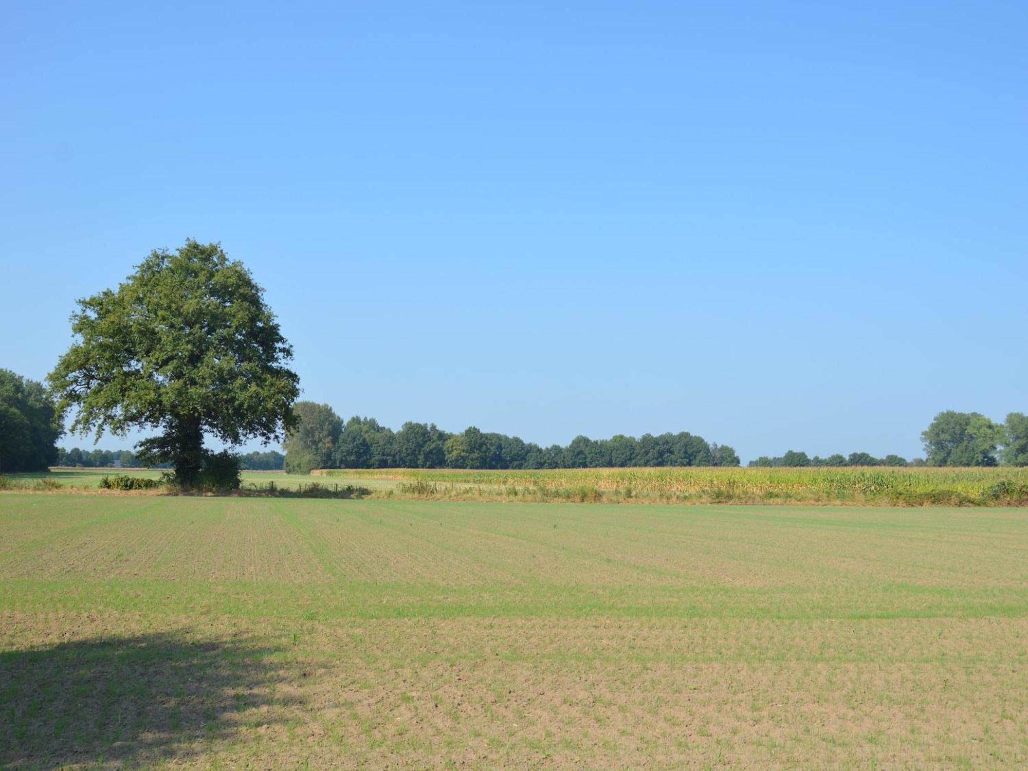 Quaint Farmhouse In Geesteren With Meadow View المظهر الخارجي الصورة