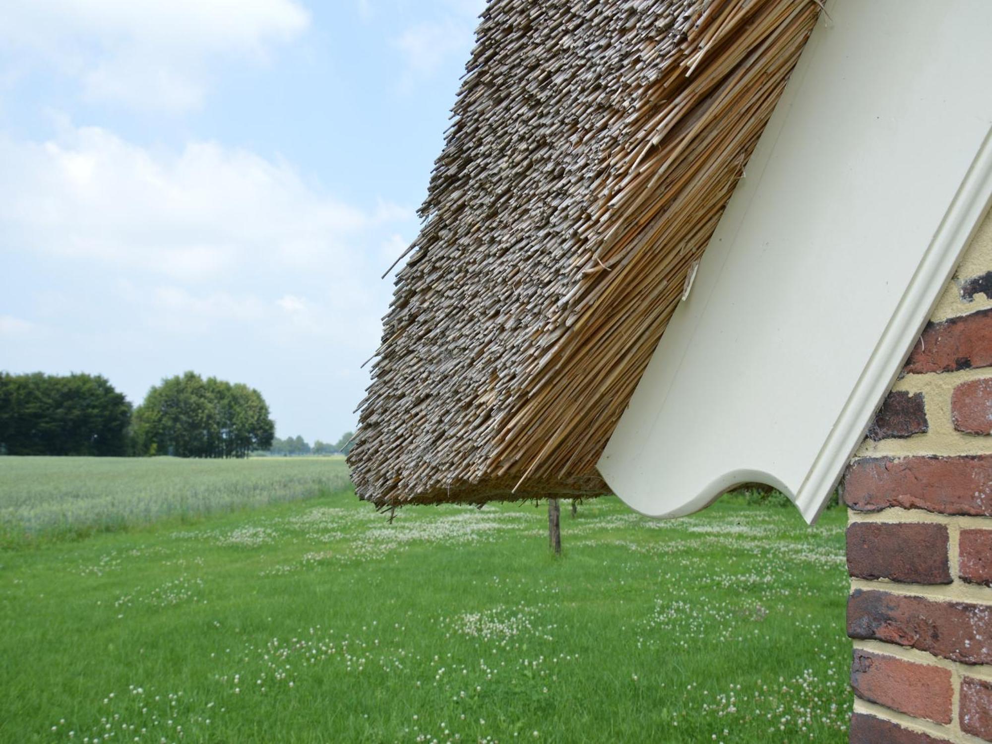Quaint Farmhouse In Geesteren With Meadow View المظهر الخارجي الصورة