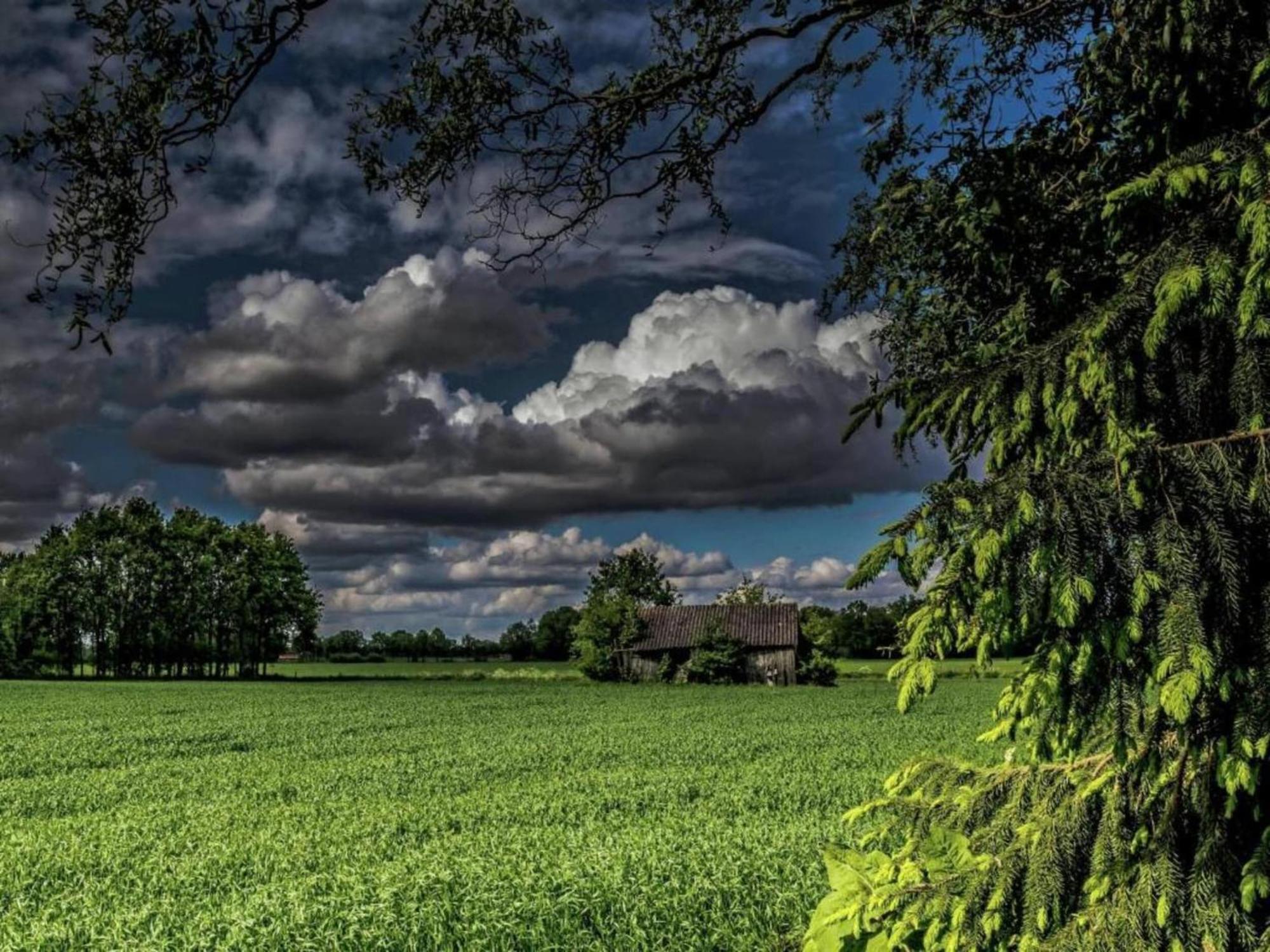Quaint Farmhouse In Geesteren With Meadow View المظهر الخارجي الصورة