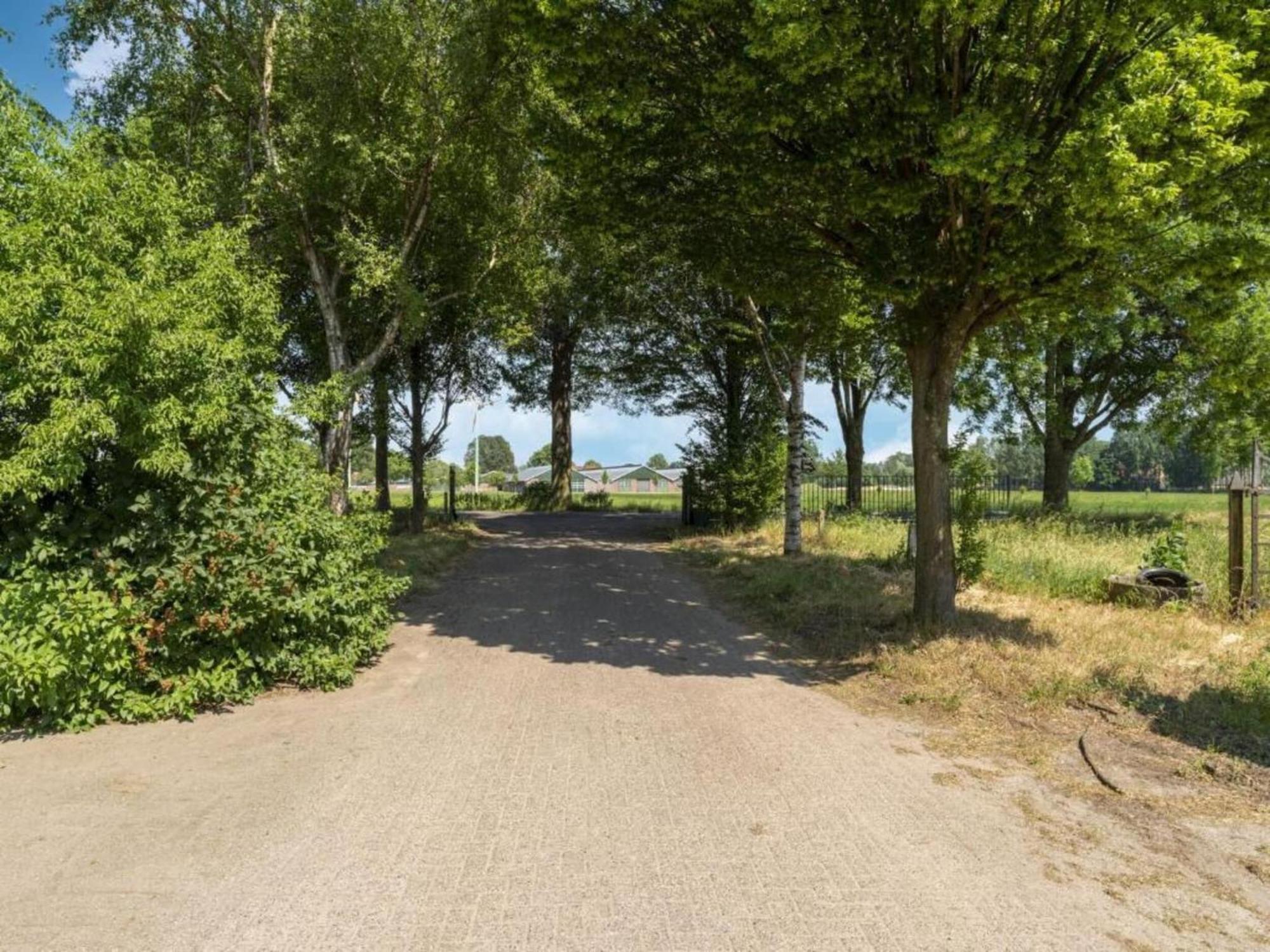 Quaint Farmhouse In Geesteren With Meadow View المظهر الخارجي الصورة